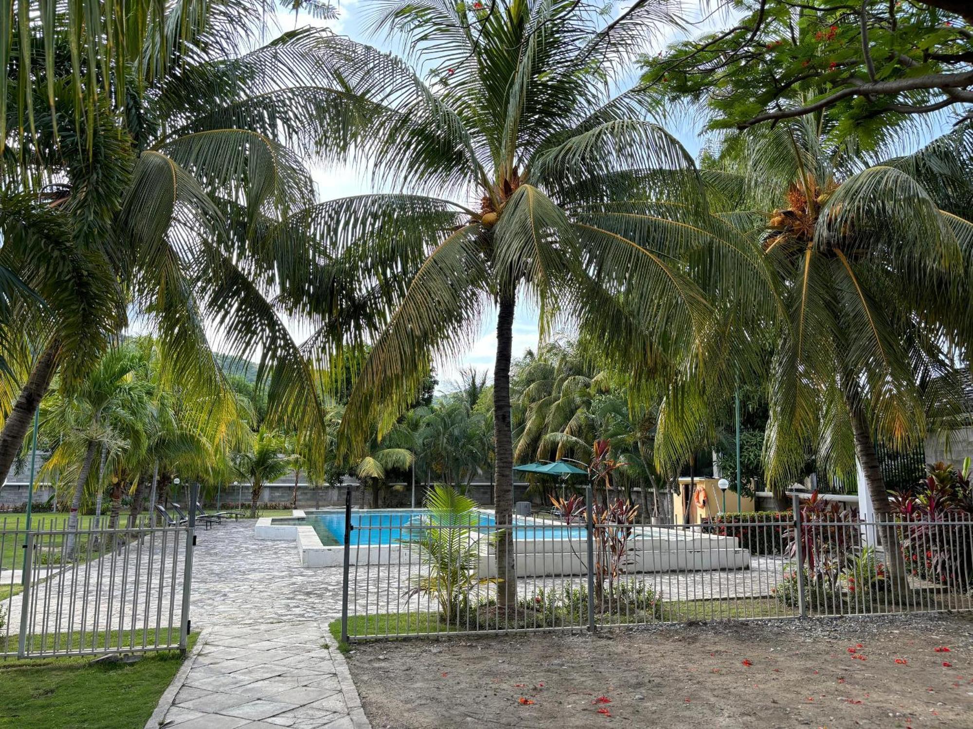 Palm Malinamoc Hotel Dili Zewnętrze zdjęcie