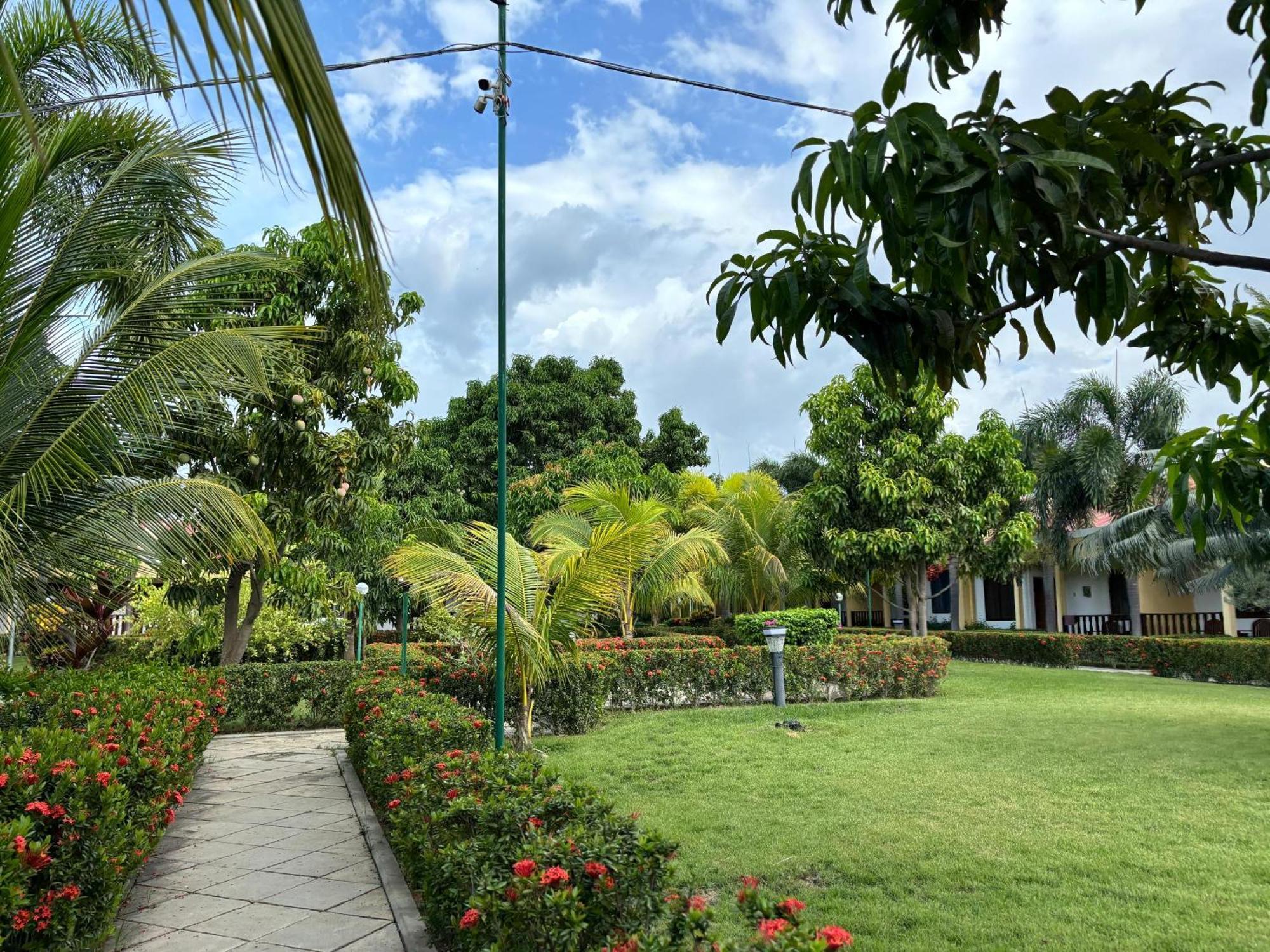 Palm Malinamoc Hotel Dili Zewnętrze zdjęcie