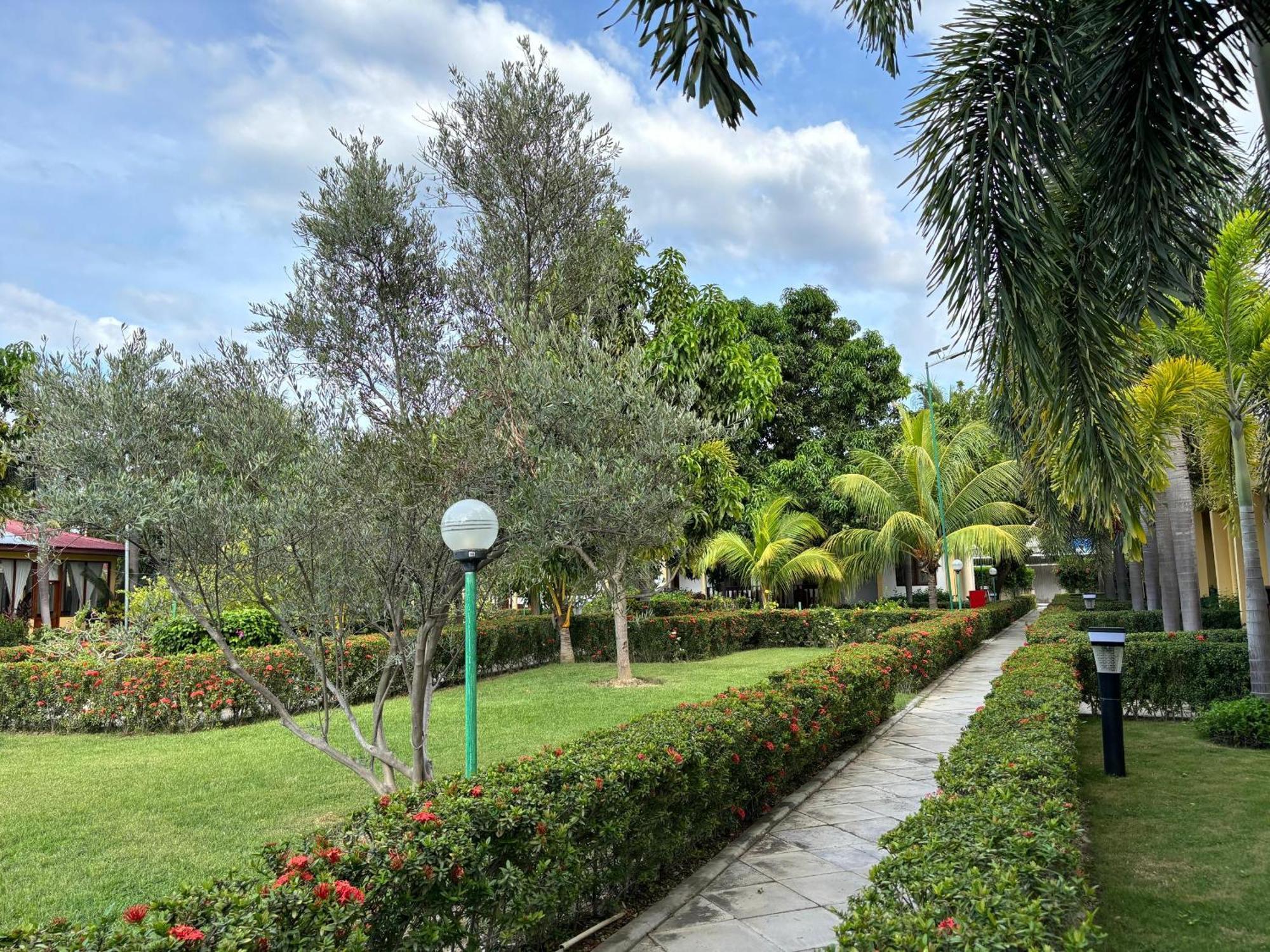 Palm Malinamoc Hotel Dili Zewnętrze zdjęcie