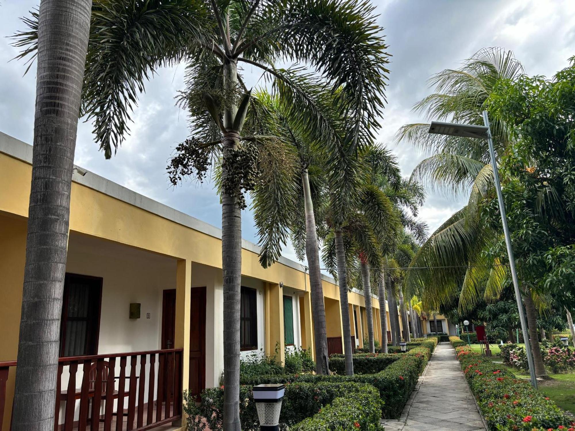 Palm Malinamoc Hotel Dili Zewnętrze zdjęcie